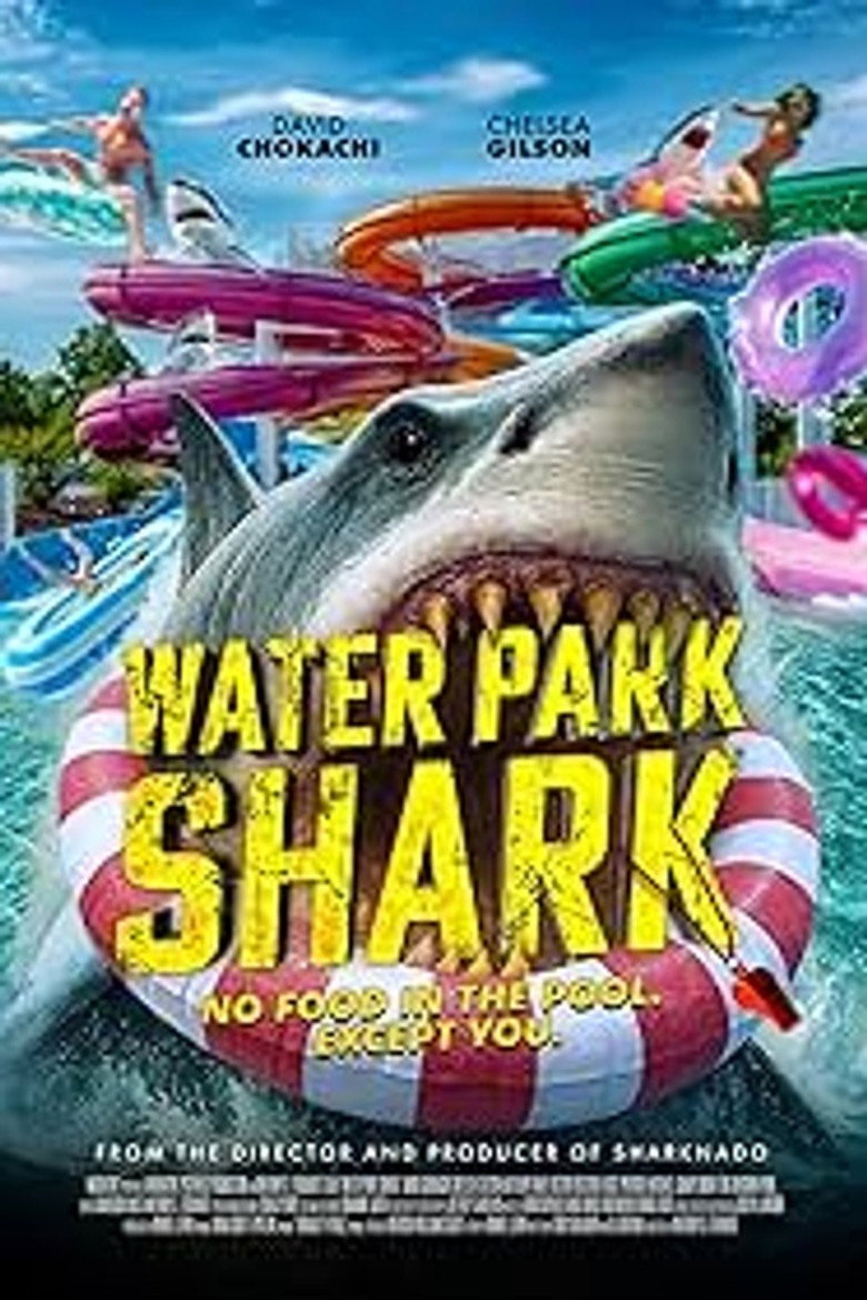 Water Park Shark