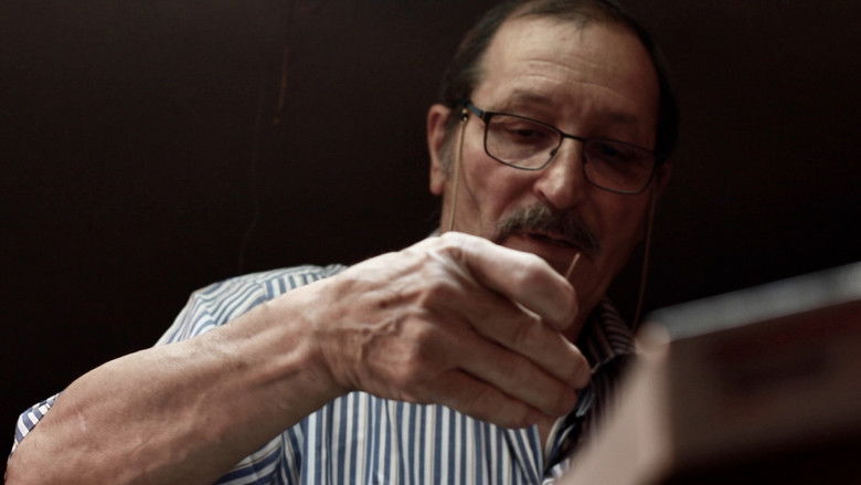 Imatge de Le pepite che suonano e la musica che brilla