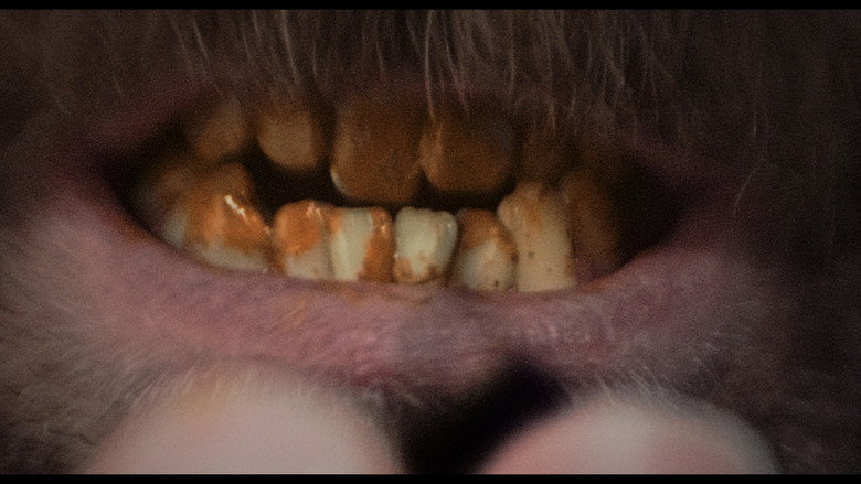 Still from Dracula: The Night Around Us