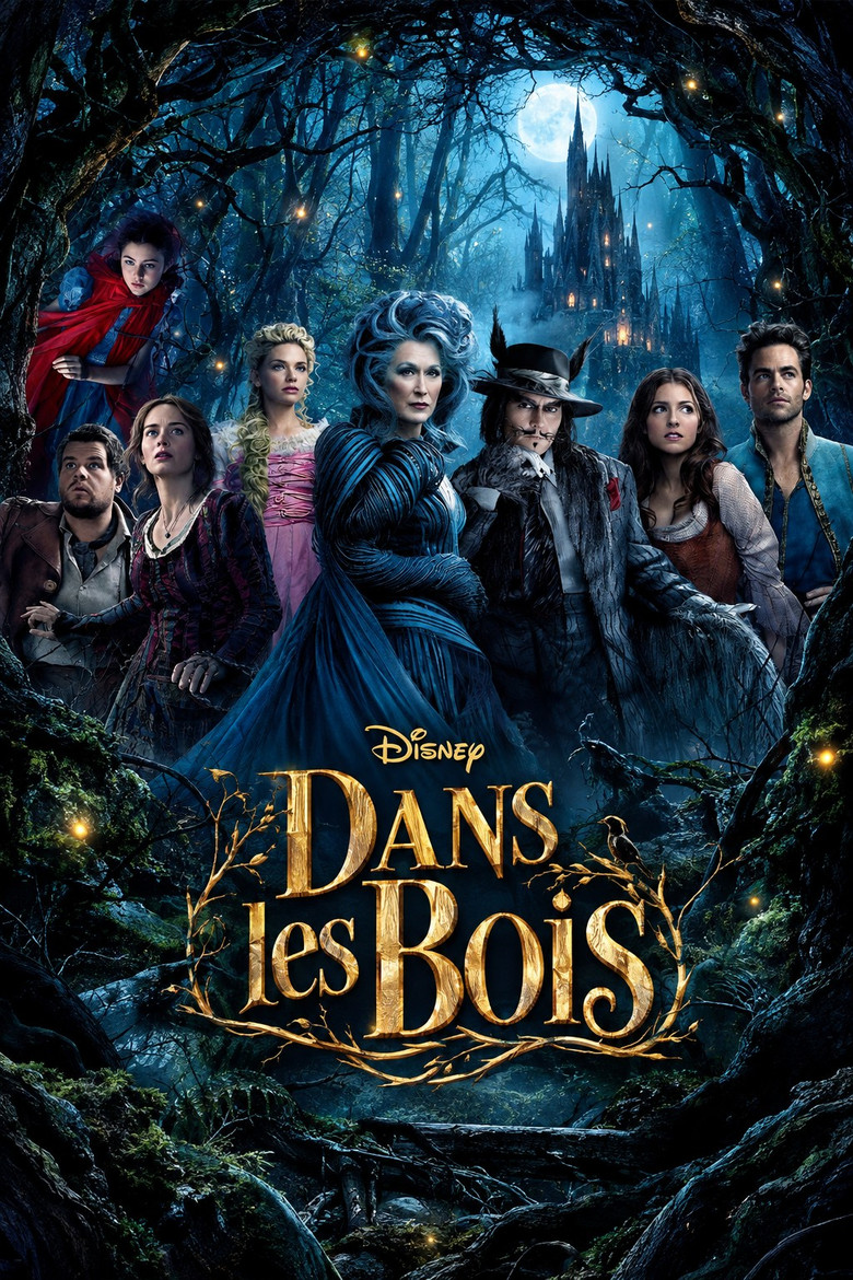 Póster la Película