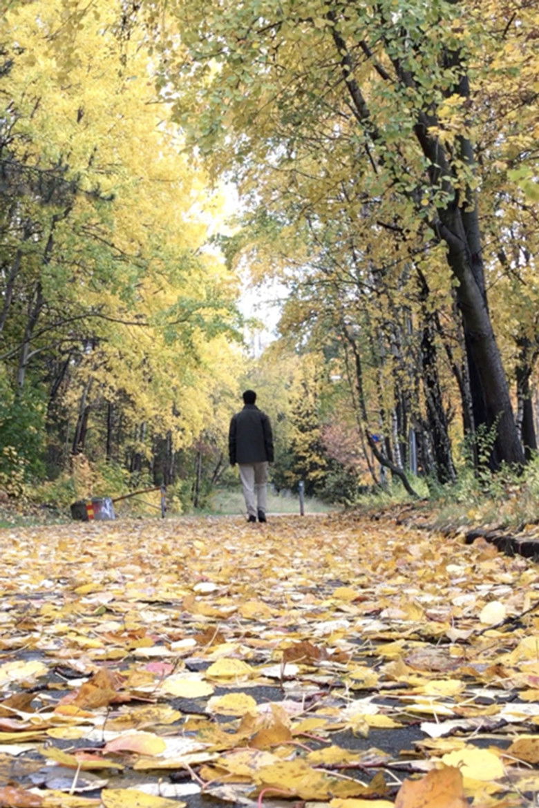 Imatge de Color of Sunset