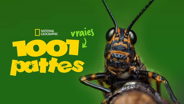 Gallery image from 4XUz01C3cmTddFKNabKRRpSjZWy.jpg