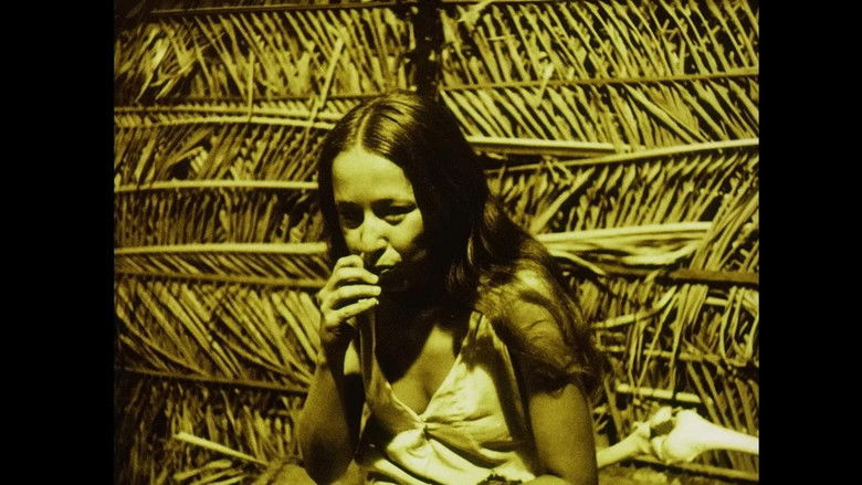 Gallery image from 4Xx6SqUUVs256FDUzN5I4yOhMSW.jpg