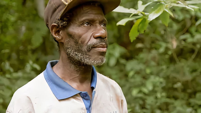 Still image for The Bee Whisperers season 1 episode 15: Episode 15