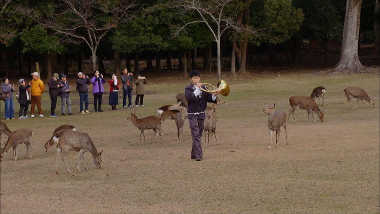 Cycle Around Japan - Nara: Discovering Ancient Ways