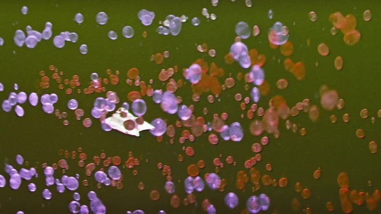 Fantastic Voyage (1966)