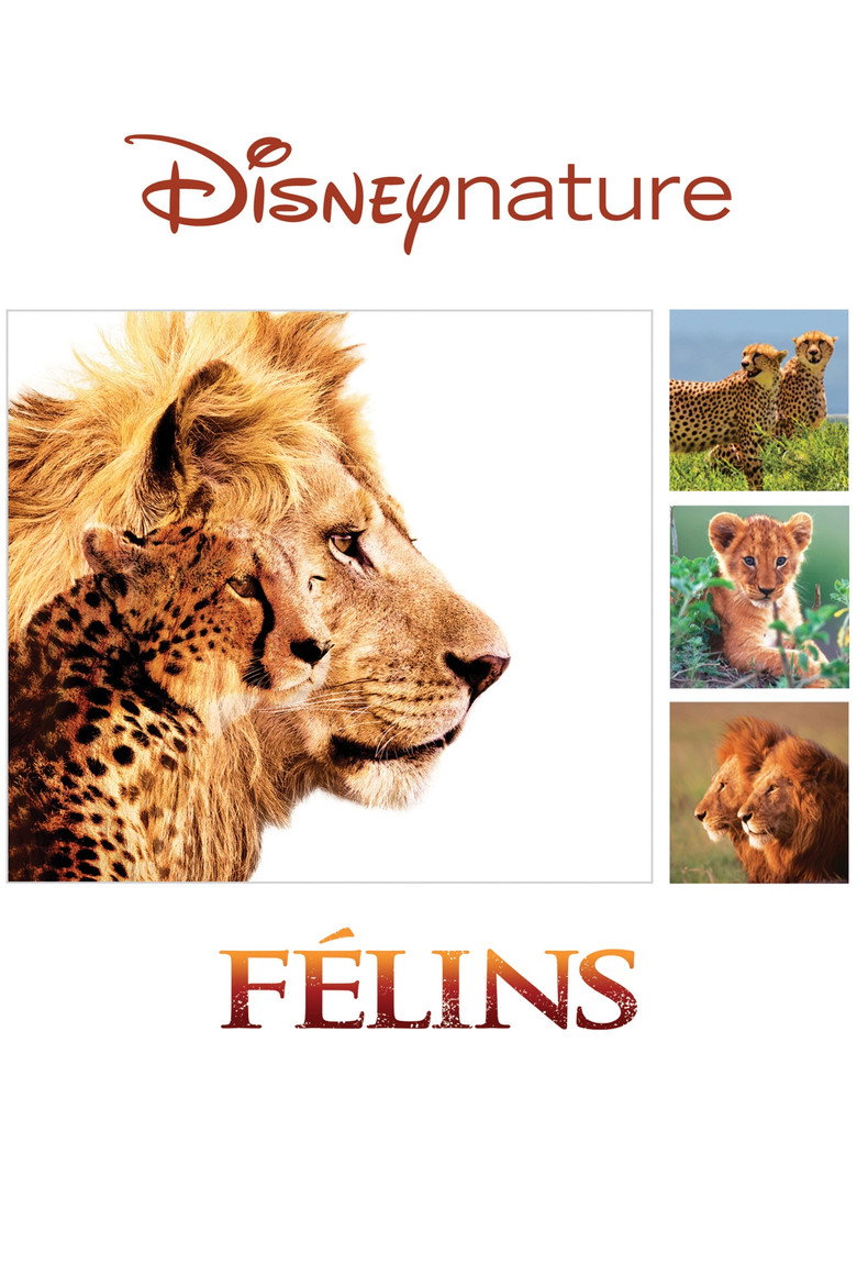 Affiche de FÉLINS