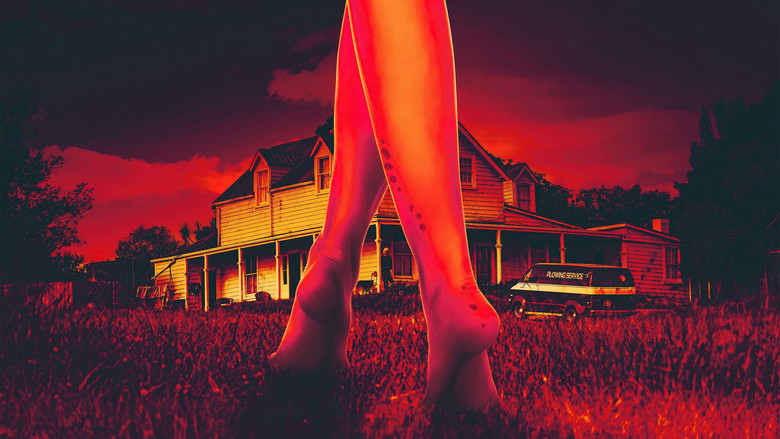 Backdrop de X Collection