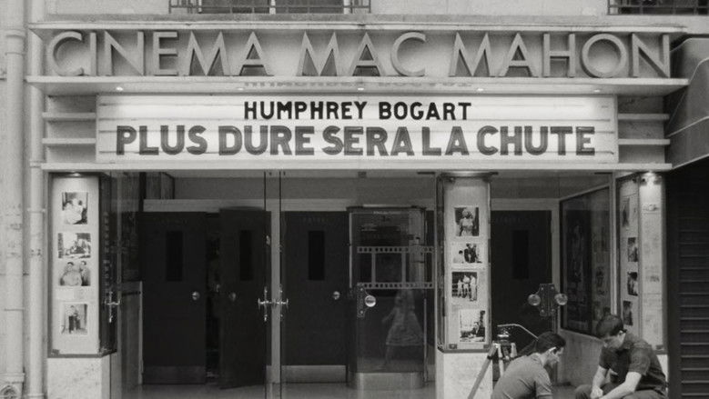 4bhen17r48dsfowjdwvxbecrpwp