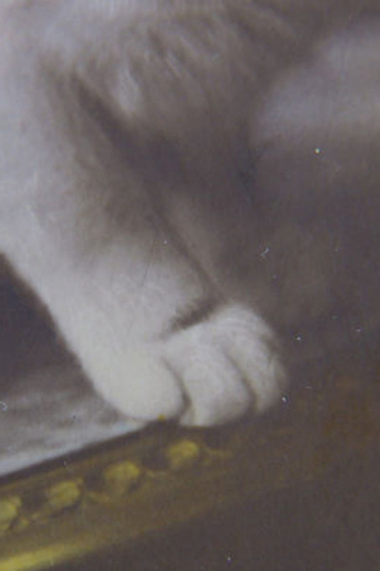 Imatge de The Kittens' Tea Party