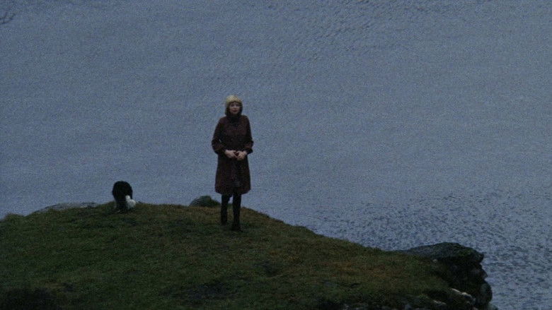 Gallery image from 4cGKeie83mD4xoyjEcmqyDKcH5j.jpg