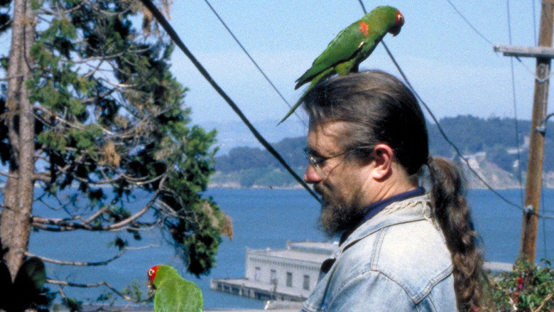 The Wild Parrots of Telegraph Hill Photo 5