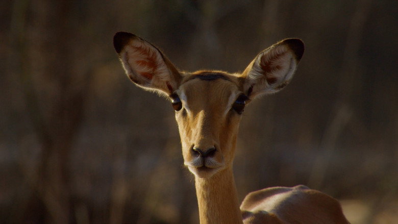 Still from The Hunt - Season 1 Episode 1