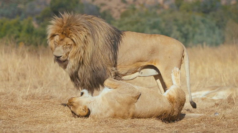 Gallery image from 4cb0l9YTA7pTA4Yjj2ZdDb5P7ed.jpg