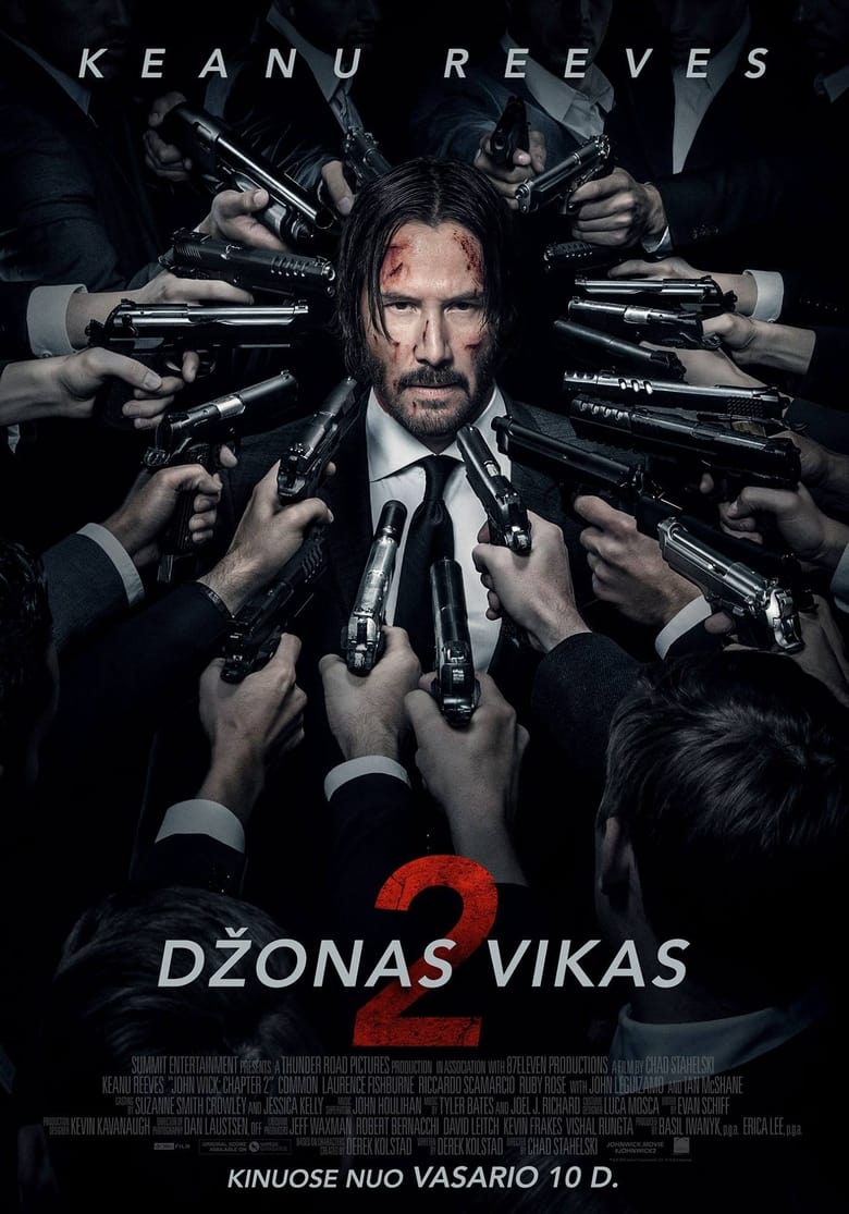 Džonas Vikas 2 (2017)