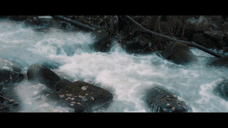 Aerindor: The silent sacrifice (2024)