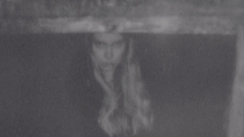 Gallery image from 4e08SN5L1YUMbzYeYMzpOptqbDo.jpg