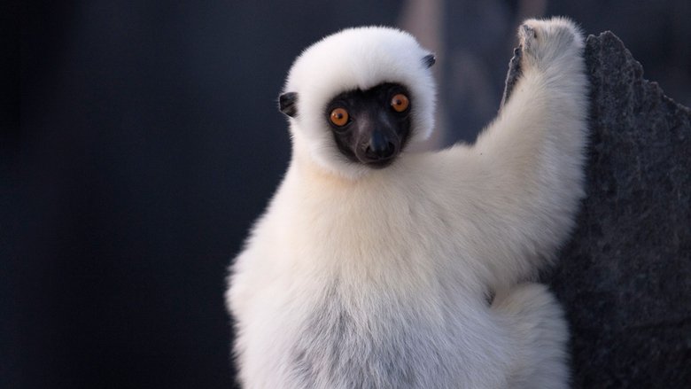 Still image for Earth's Tropical Islands season 1 episode 1: Madagascar Still image for Earth's Tropical Islands season 1 episode 1: Madagascar