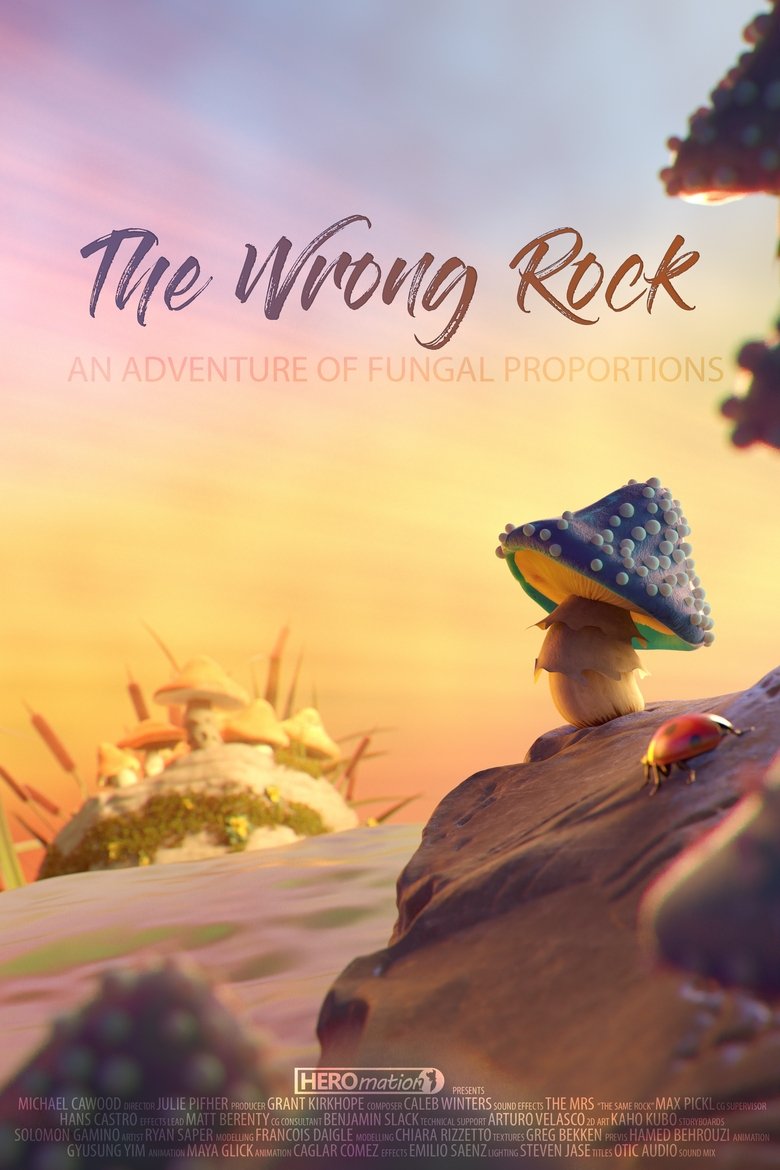 The Wrong Rock main poster