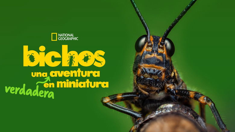 Gallery image from 4fVKrD3mpERgD58GpzebcV0qQ4o.jpg