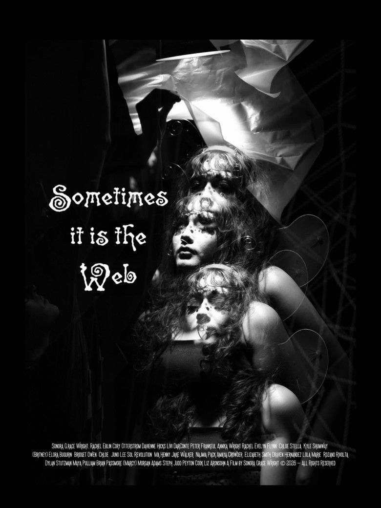 Imatge de Sometimes it is the Web