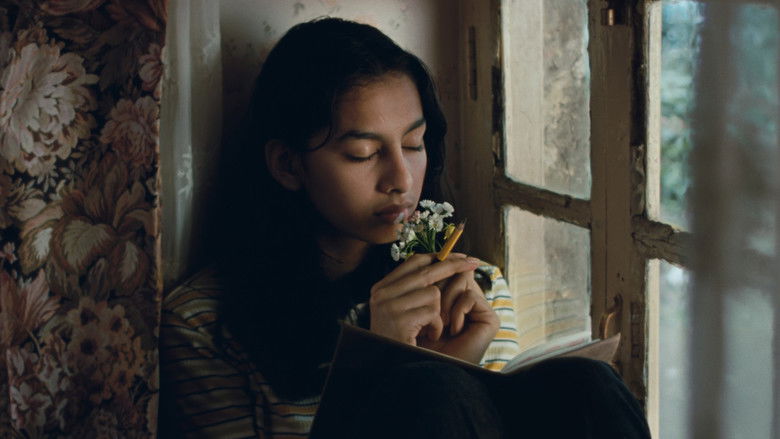 Image d'arrière-plan 2 du film जुगनूमा