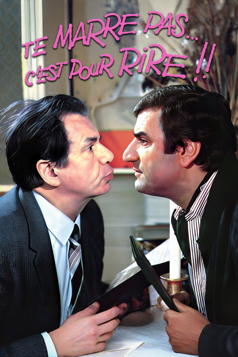 Affiche de TE MARRE PAS... C'EST POUR RIRE !