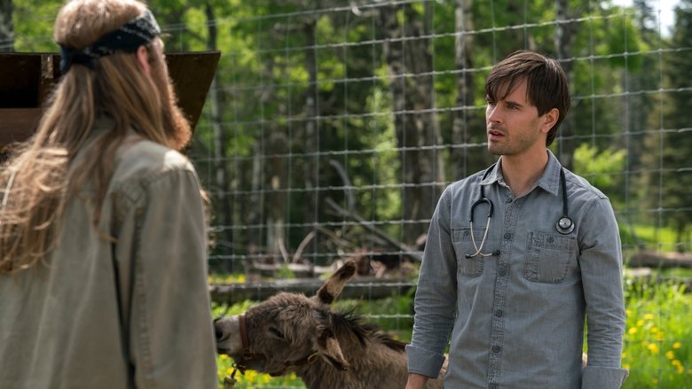 Caught In The Net Streaming Vf Série Heartland saison 10 épisode 3 complète en streaming VF et VOSTFR