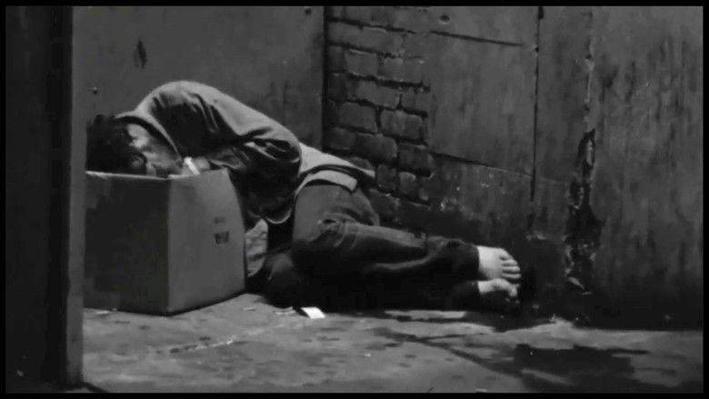 Gallery image from 4hKFxLrphRCQsf7n0bwOTT9sHpa.jpg