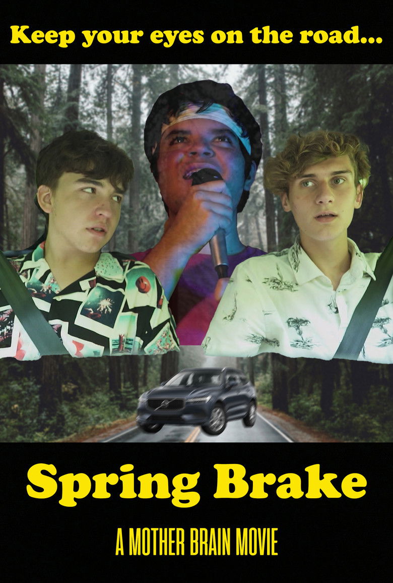 Imatge de Spring Brake