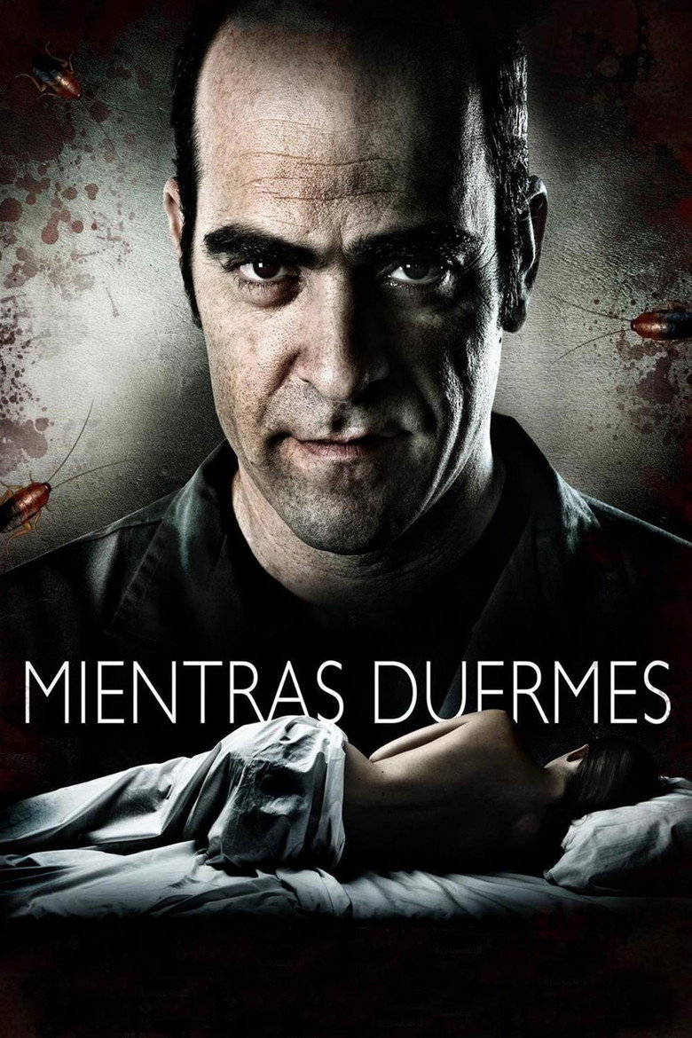 Póster la Película