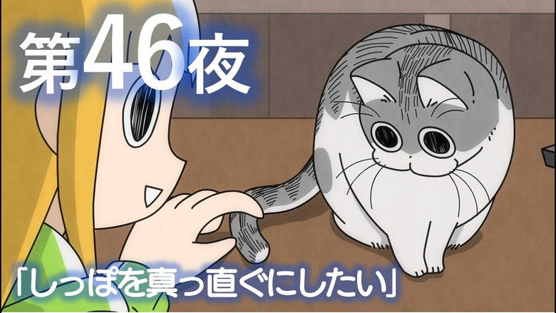 Still image for Nights with a Cat season 1 episode 46: Night 46: The Urge to Straighten a Tail