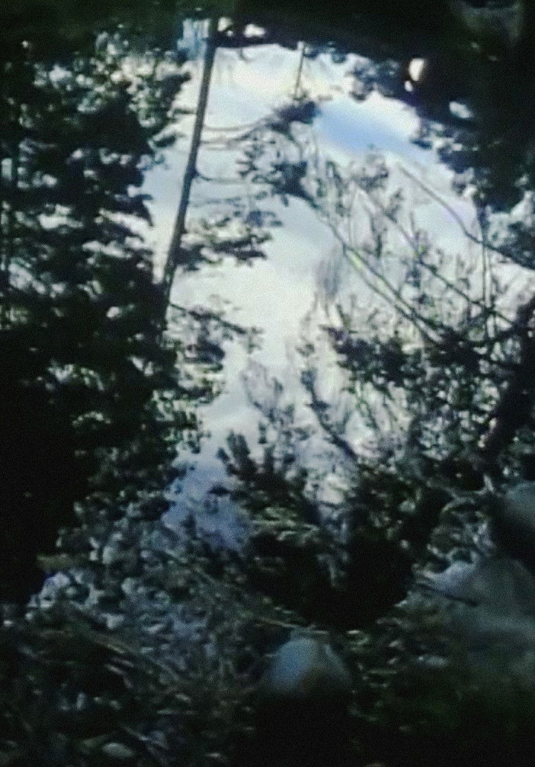 Imatge de Crepescule Pond and Chair