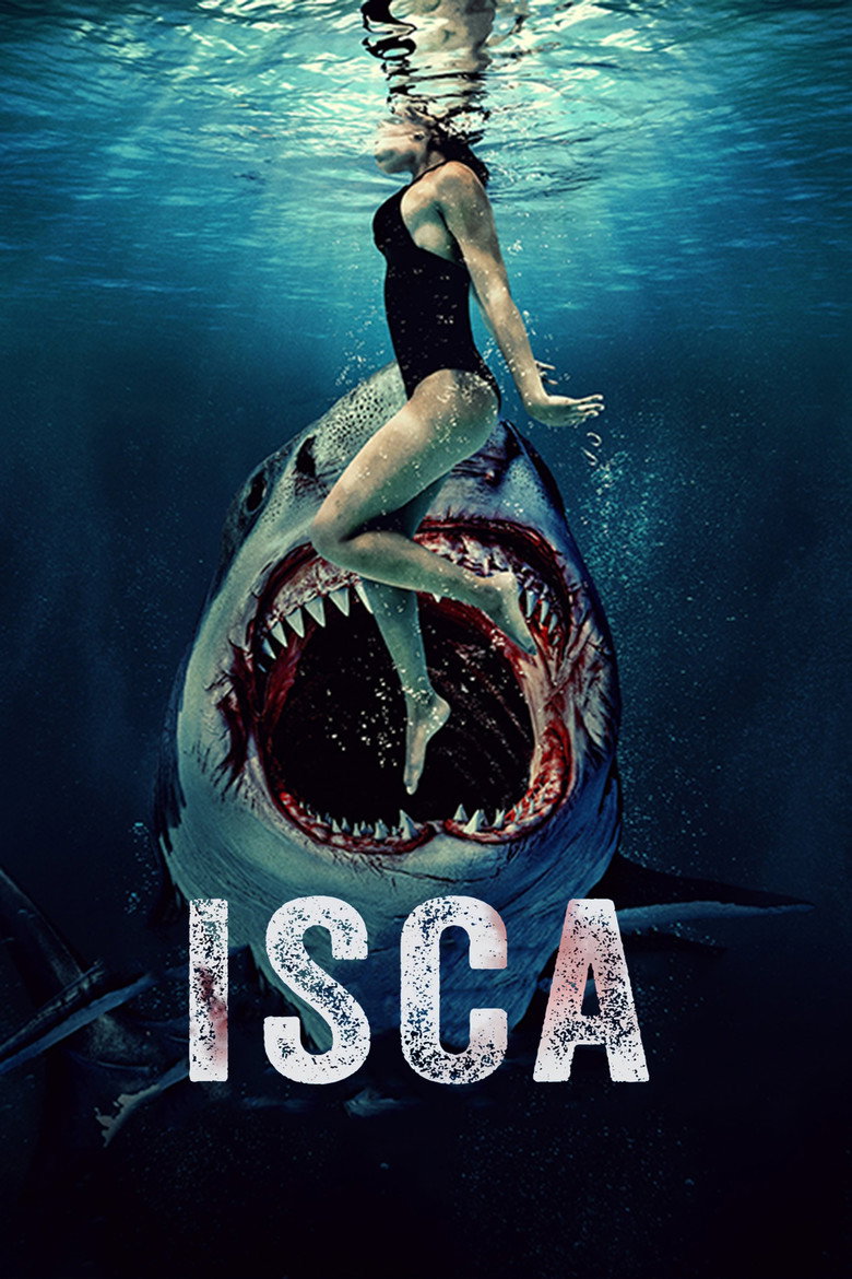 Póster la Película