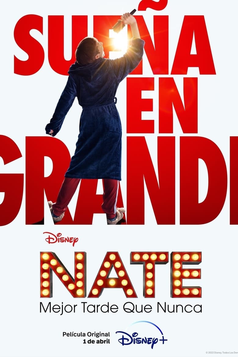 Póster la Película