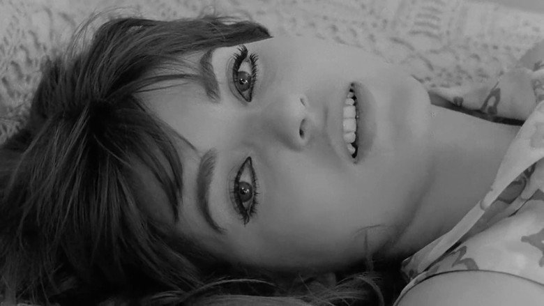 Trans-Europ-Express image 10