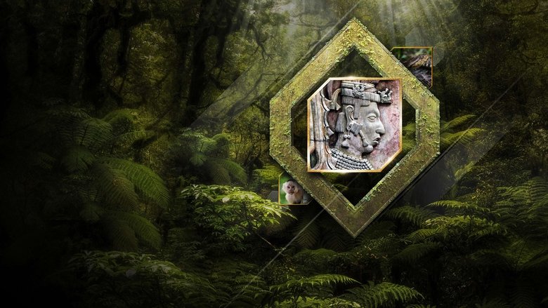 Cover Image of The Lost City of the Monkey God