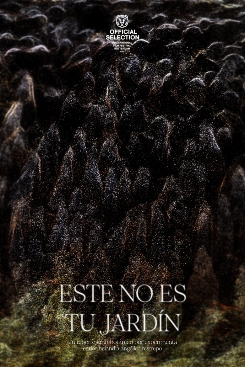 This Is Not Your Garden main poster