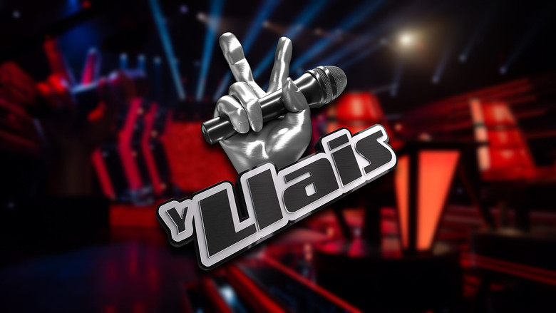 The Voice image 2