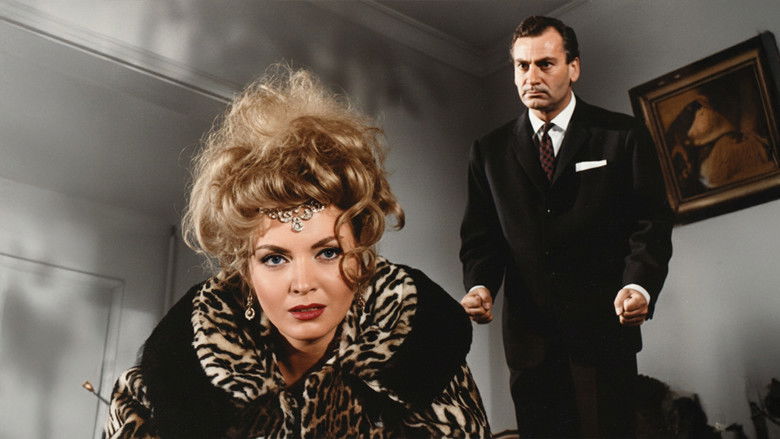 Image d'arrière-plan 1 du film Hancının Kızı