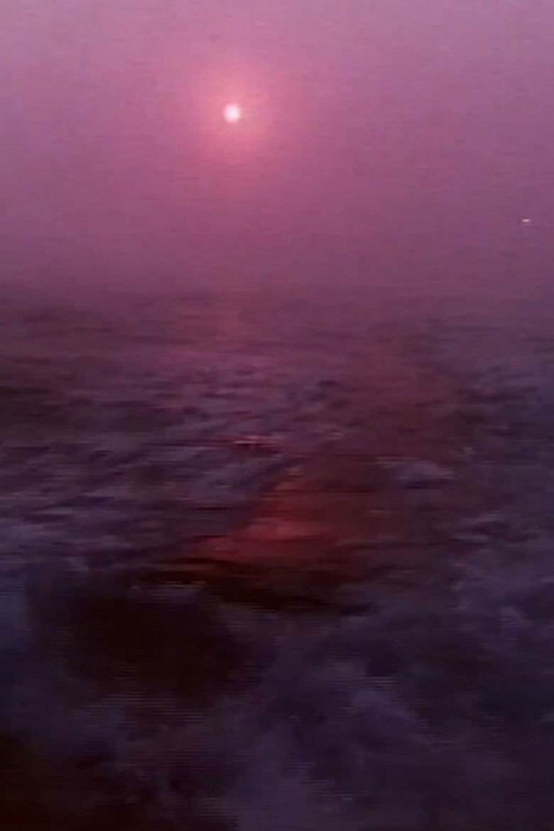 Imatge de Elizabeth Bishop: One Art