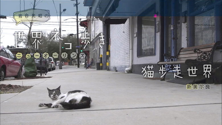 Still image for Mitsuaki Iwago's World “Cats” Travelogue season 1 episode 27: New Orleans Still image for Mitsuaki Iwago's World “Cats” Travelogue season 1 episode 27: New Orleans