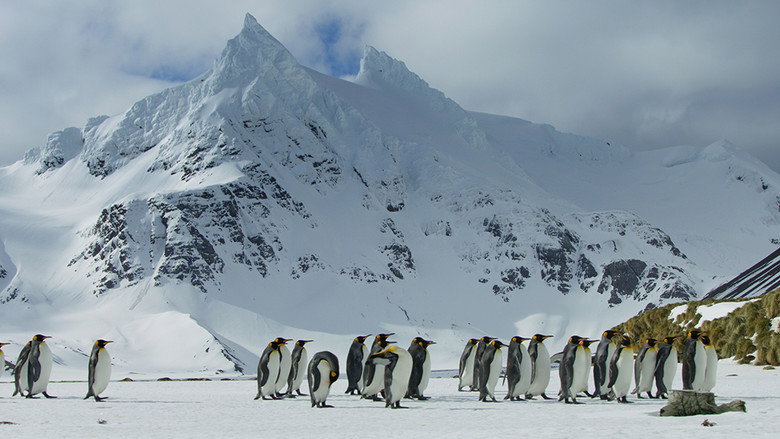 Still from Frozen Planet II - Season 1 Episode 4