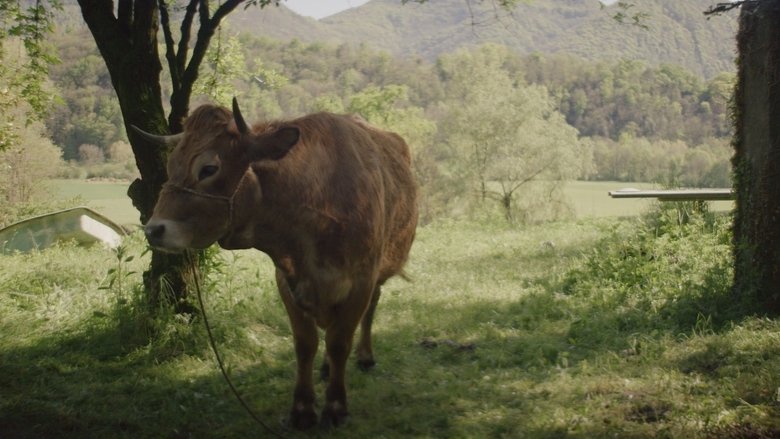 Alma in the Herd movie poster