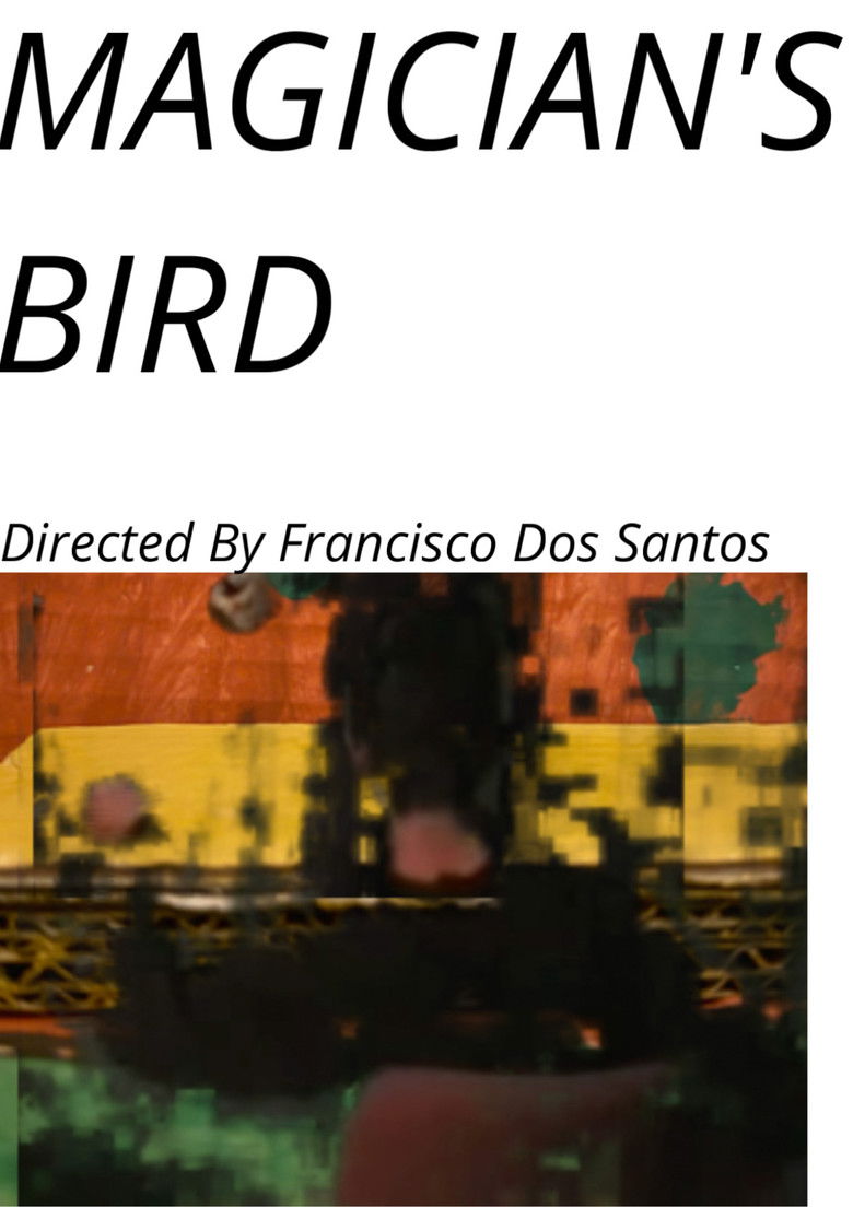 Imatge de Magician's Bird