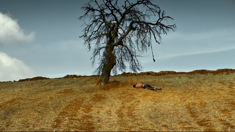 L'albero dei frutti selvatici backdrop L'albero dei frutti selvatici