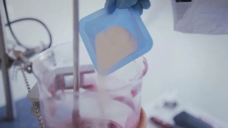 Imatge de Des dents blanches au rire jaune