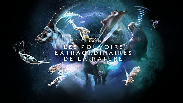 Gallery image from 4sY8Y1MHjEchLg3Hhc7pohJI9cA.jpg