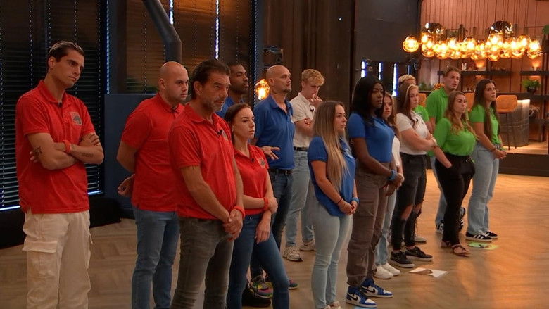 Still image for De Bondgenoten season 1 episode 229: Episode 229