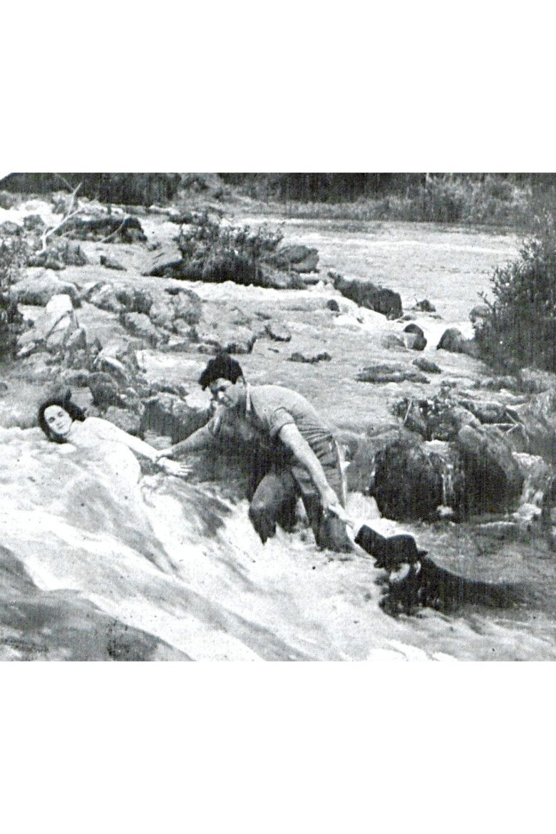 Imatge de Alma Gentil